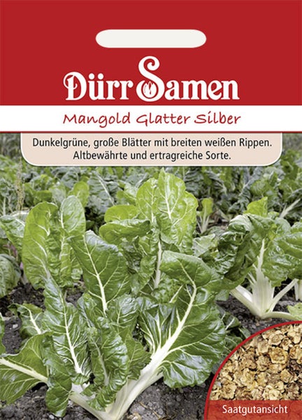 Samentüte Mangold Glatter Silber von Dürr Samen mit Abbildung der wachsenden Pflanzen und einer Detailansicht des Saatguts.