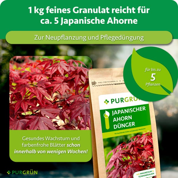 Purgrün japanischer Ahorndünger als feines Granulat im wiederverschließbaren Beutel für die Düngung von bis zu fünf japanischen Ahornpflanzen.