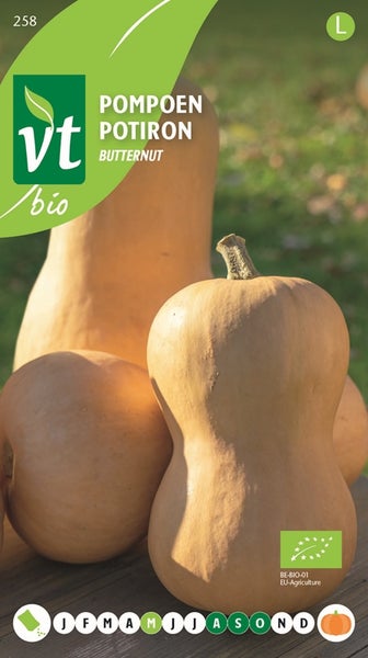 Butternut Kürbis Samenpackung