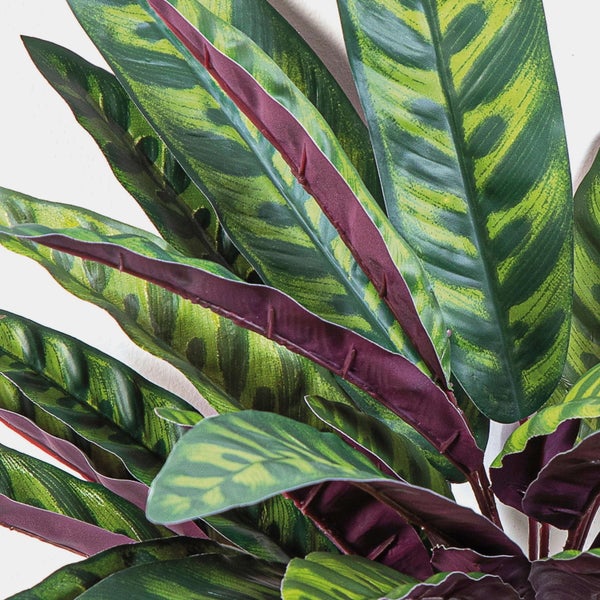 Detailansicht einer Calathea Kunstpflanze mit gemusterten grünen Blättern und purpurroter Unterseite.
