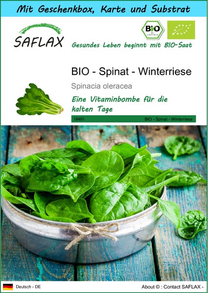 SAFLAX Geschenk Set - BIO - Spinat - Winterriese - Spinacia oleracea - 250 Samen - Mit Geschenkbox, Versandaufkleber, Geschenkkarte und Anzuchtsubstrat
