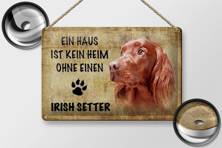 Blechschild Spruch 30x20cm Irish Setter Hund ohne kein Heim