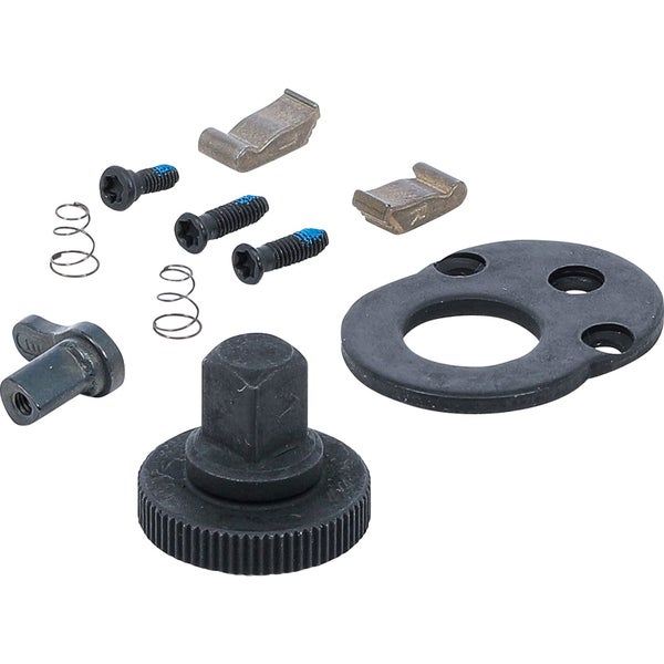 Ratschen-Reparatursatz mit Schrauben, Federn und Sperrklinken