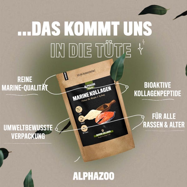 ALPHAZOO Marine Kollagen Pulver 250g für Hunde und Katzen I Fisch Kollagenhydrolysat