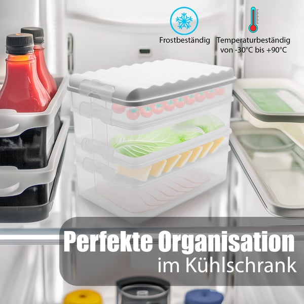 BigDean 5 Stück Aufschnittboxen für Kühlschrank Größe 3x L + 2x XL– Aufbewahrung von Wurst, Käse u.v.m. – stapelbare Aufschnittdosen Made in Germany