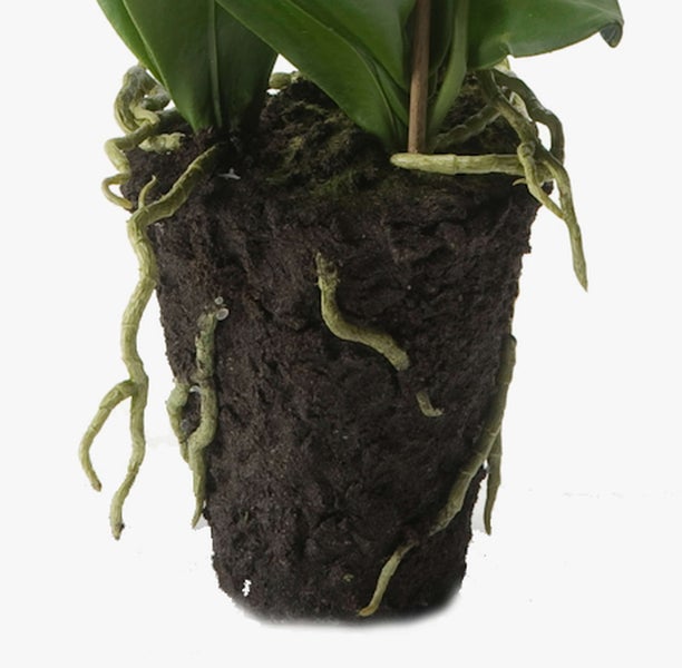 Künstlicher Orchideenzweig Phalaenopsis mit weißen Blüten und grünen Knospen.