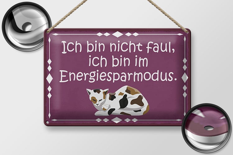 Blechschild Spruch 30x20cm Katze ich bin nicht faul bin im