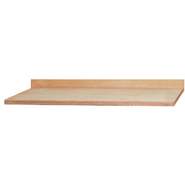 WS24 Rückbrett B x T x H 2.500 x 12 x 120 mm - WS24-100349