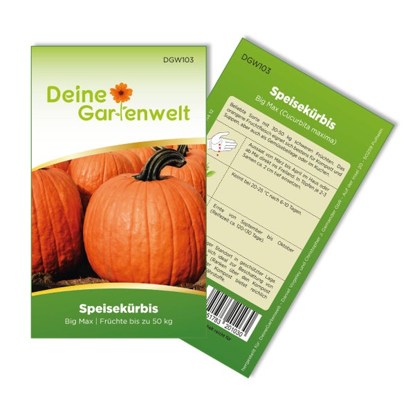 Samentüte für Speisekürbis Big Max von Deine Gartenwelt Logo, Vorderseite mit großen Kürbissen, Rückseite mit Aussaat- und Pflegehinweisen.