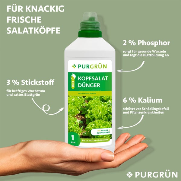 Purgrn Bio-Kopfsalat-Dnger 1 Liter | HORNBACH