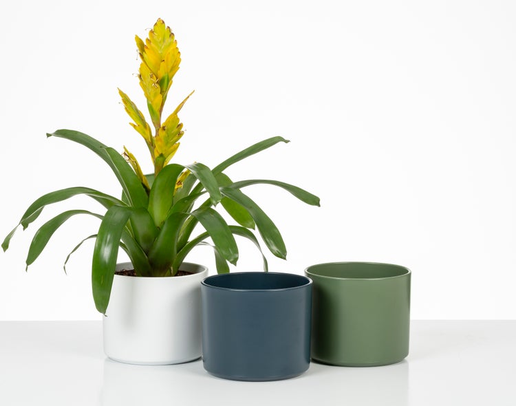 Scheurich Monaco, Blumentopf aus Keramik, Farbe: Myrte, 27,8 cm Durchmesser, 25,8 cm hoch, 19,9 l. Vol.