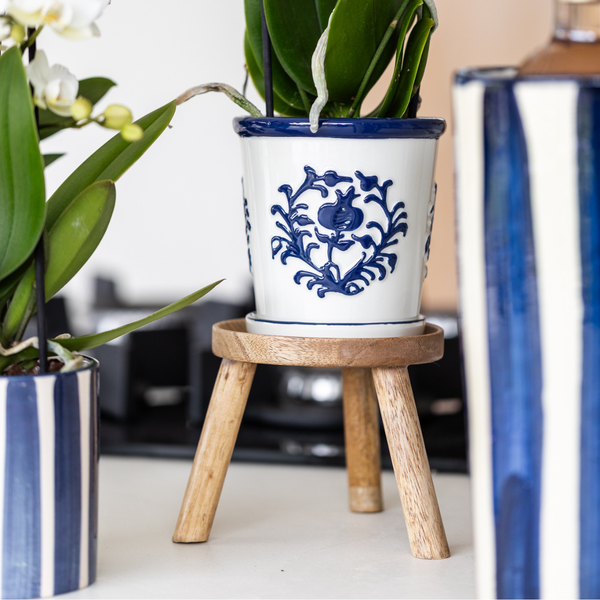Kolibri Orchideen weiße Phalaenopsis Orchidee Amabilis + Malaga Ziertopf blau Topfgröße 9cm blühende Zimmerpflanze