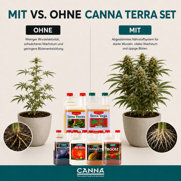 Vergleichsgrafik Canna Terra Set mit und ohne Düngeranwendung für Pflanzenwachstum und Wurzelbildung.