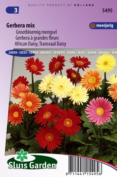 Gerbera Mischung Samenpackung