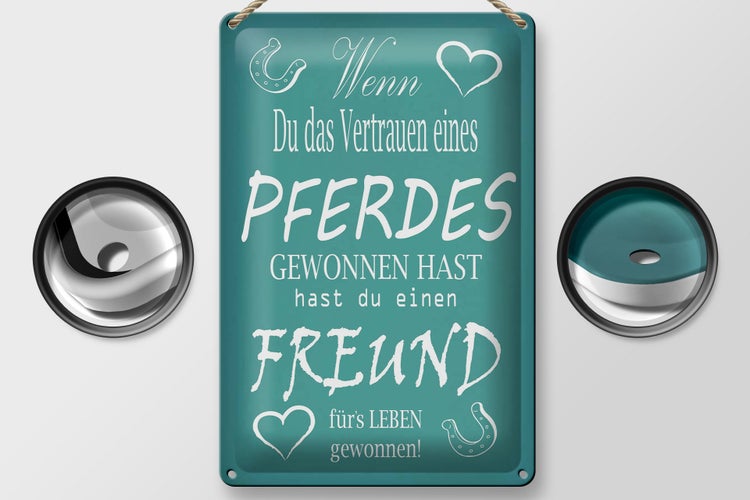 Blechschild Spruch 20x30cm Wenn du Vertrauen eines Pferd