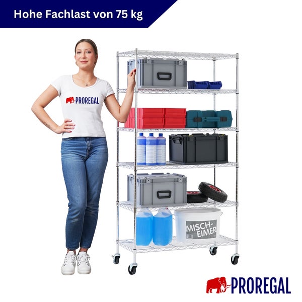 PROREGAL Gitterregal auf Rollen mit fünf Fachböden und einer Traglast von 75 Kilogramm pro Boden, PROREGAL Logo.