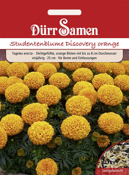 Samenpackung Dürr Samen Studentenblume Discovery orange, Tagetes erecta, einjährig, für Beete und Einfassungen. Dürr Samen Logo.