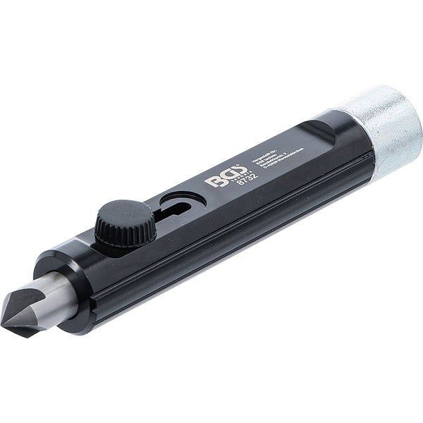 Immergrüner Kriechspindelstrauch mit Blättern