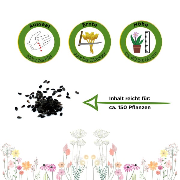 Ysop Samen von Deine Gartenwelt