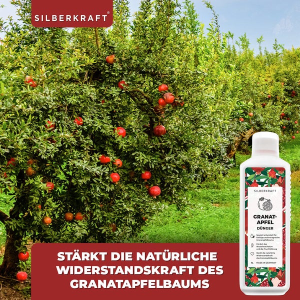 SILBERKRAFT Granatapfel Dünger – Für Granatapfelbäume – 1 Liter