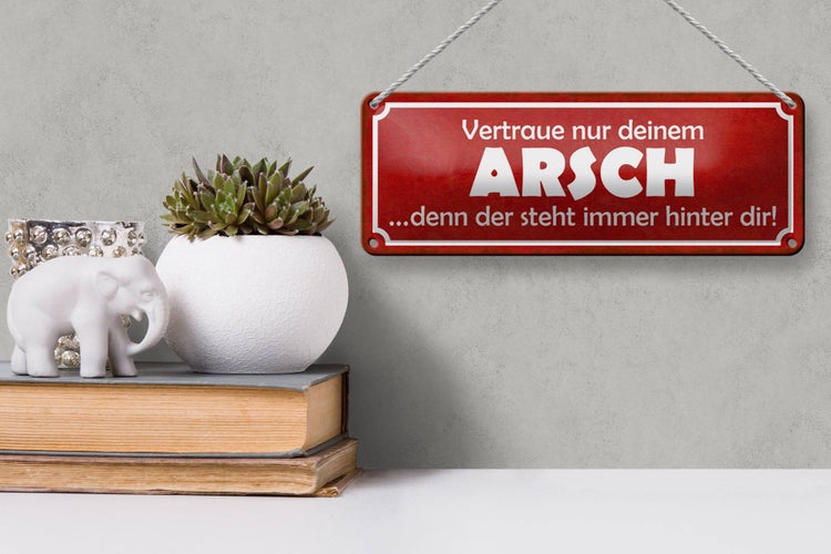 Blechschild Spruch 27x10cm vertraue nur deinem Arsch rotes Schild