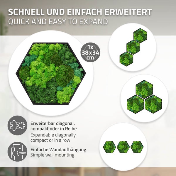 Wandbild aus konserviertem Moos in Hexagon Form mit 38 mal 34 Zentimeter, modular erweiterbar und mit einfacher Wandbefestigung.