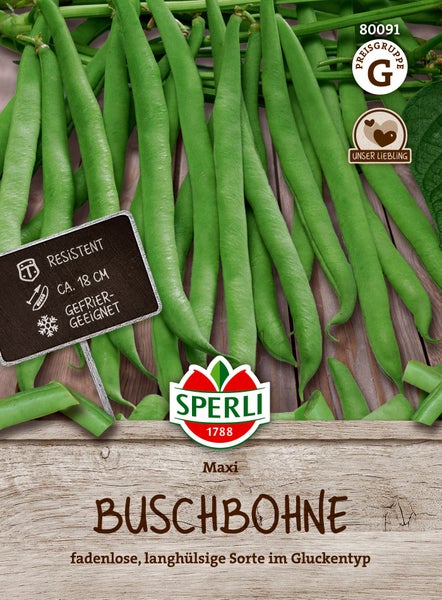 Sperli Saatgut Buschbohne Maxi fadenlose langhülsige Sorte für Garten