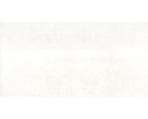 Bodenfliese Globus Platinum 60x120cm rektifiziert