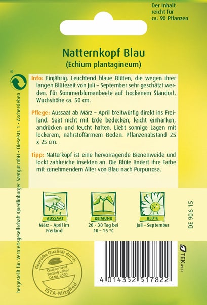 Samentüte für Quedlinburger Winterzwiebeln Blanca de la Reina mit Quedlinburger Logo und Abbildung von weißen Zwiebeln mit grünen Stielen.