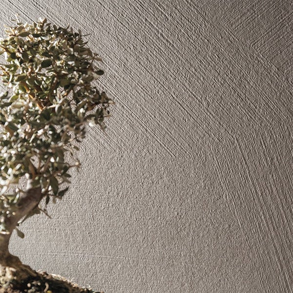 Wand mit strukturierter Putzoberfläche und einem Bonsai Baum im Vordergrund