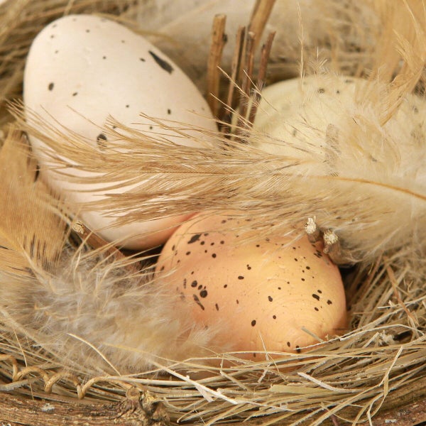 Osternest mit drei gesprenkelten Eiern und Federn als dekoratives Element für die Frühlingsdekoration