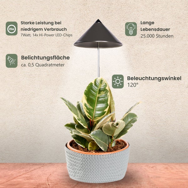 Parus by Venso SUNLiTE 7W LED Vollspektrum Pflanzenlampe Grau, Indoor Plants Pflanzen Beleuchtung, mit ausziehbarem Teleskopstab, Parus Pflanzenlampe für kleine und mittelgroße Zimmerpflanzen