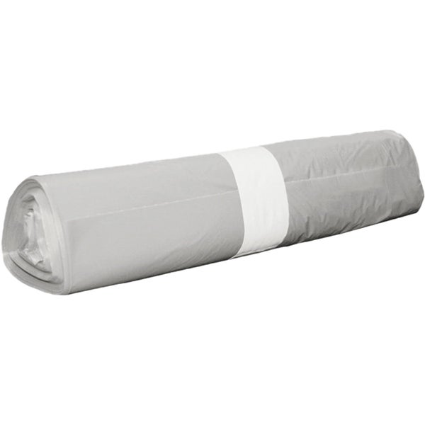 Drei Bromelienpflanzen in Töpfen