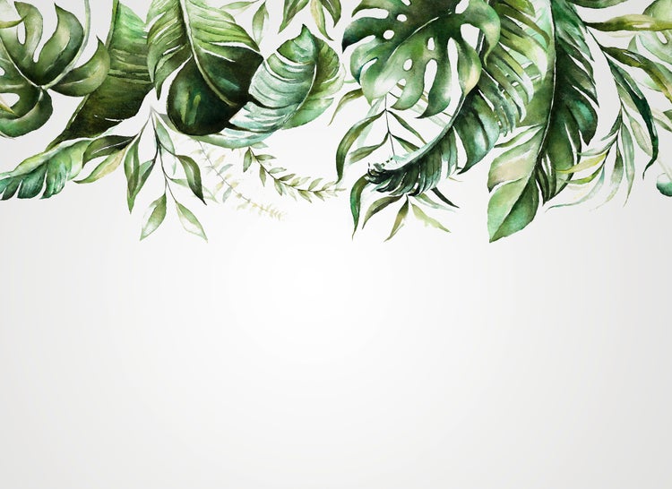 Vliestapete mit Aquarell-Illustration von tropischen Blättern wie Monstera und Farnen am oberen Rand.