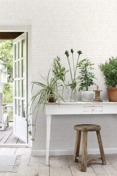 Dekoratives Zimmer mit Pflanzen auf einem Tisch und einer beschrifteten Tapete