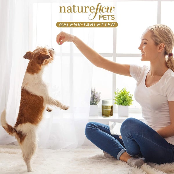 Gelenktabletten Hunde – Test SEHR GUT Made in Germany mit Grünlippmuschel, MSM und Teufelskralle - Keine Kapseln, hohe Akzeptanz Gelenktabletten Hund - 100 Stück