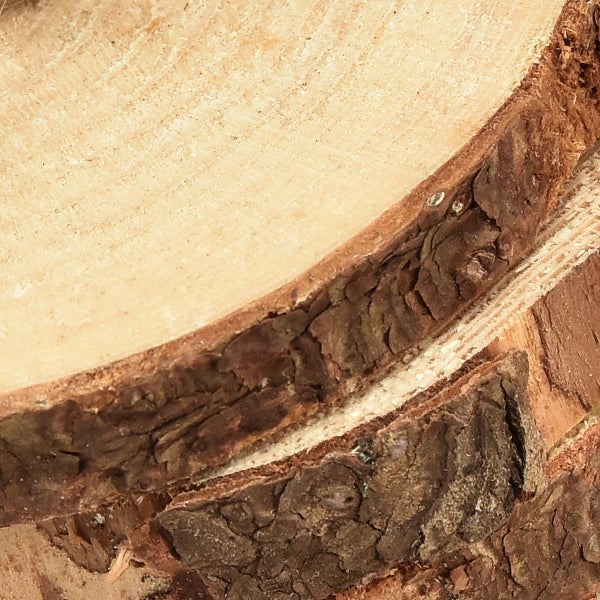 Holzquerschnitt mit Baumrinde