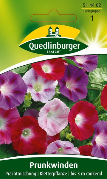 Samenpackung Quedlinburger Saatgut Prunkwinden Prachtmischung, Kletterpflanze bis zu 3 Meter rankend, bunte trichterförmige Blüten.