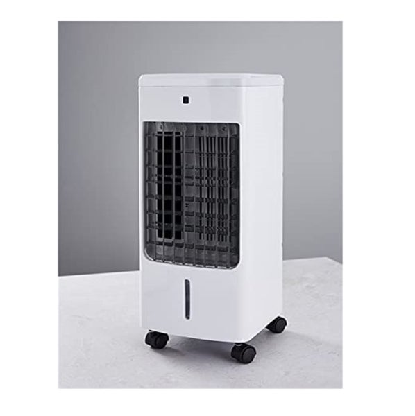 Kugelthuja im Gartenbeet