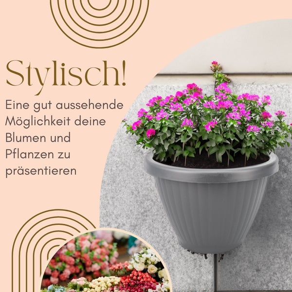 Wandblumentopf mit rosa blühenden Pflanzen