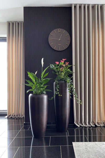 Modernes Interieur mit zwei hohen Pflanzgefäßen, Einblatt und Anthurie vor einer Wand aus Holzlamellen, runder Wanduhr und Vorhängen.