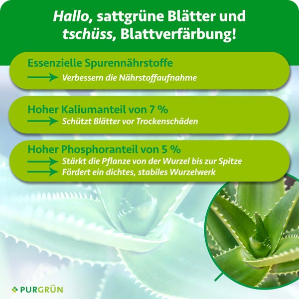 Purgrün Aloe Vera Dünger, 1 Liter Konzentrat für circa 200 Liter Gießwasser, mit Dosierkappe für gesundes Wachstum. Purgrün Logo.