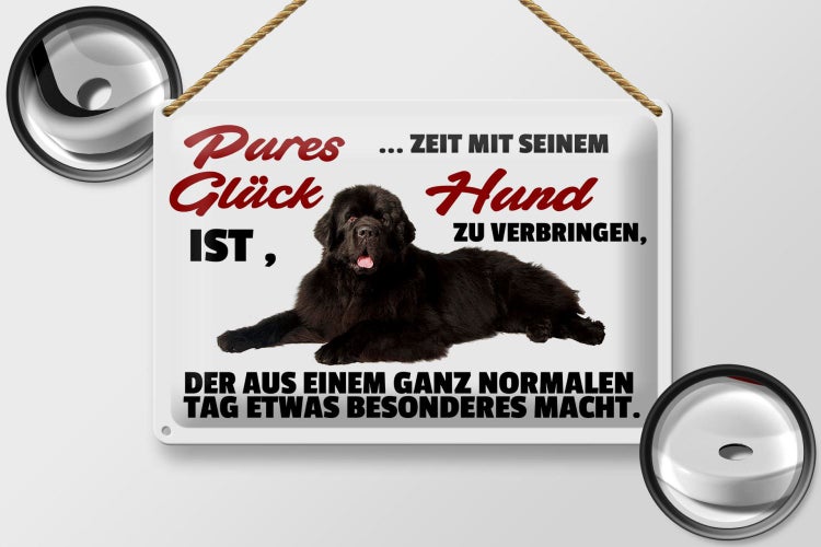 Blechschild Spruch 30x20cm pures Glück ist Zeit mit Hund