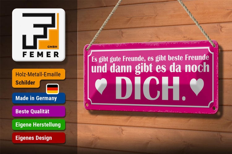 Blechschild Spruch 27x10cm es gibt beste Freunde und DICH Dekoration
