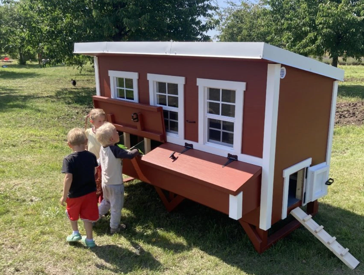 Hühnerstall mit Fenstern und Nistkästen im Garten