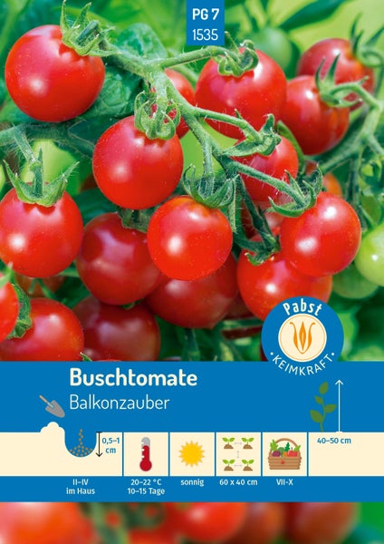 Samentüte für Buschtomate Balkonzauber mit Abbildung reifer Kirschtomaten an der Rispe, Pabst Keimkraft Logo und Symbolen für Anbauhinweise.