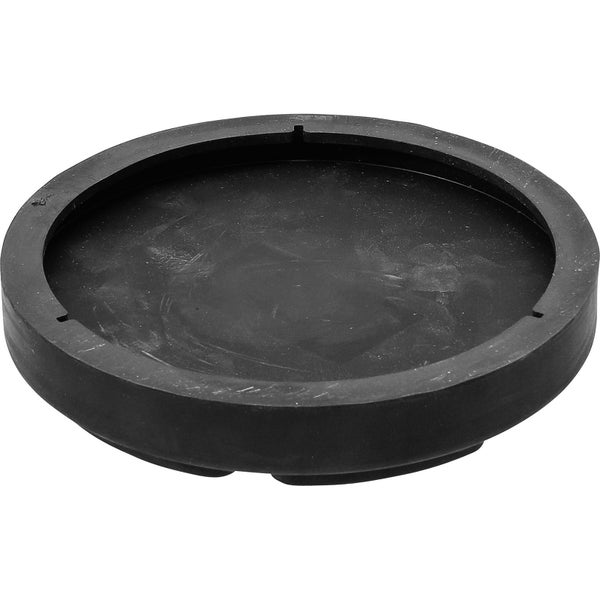 Nahaufnahme eines Olivenbaumstamms mit strukturierter Rinde und grünen Blättern.