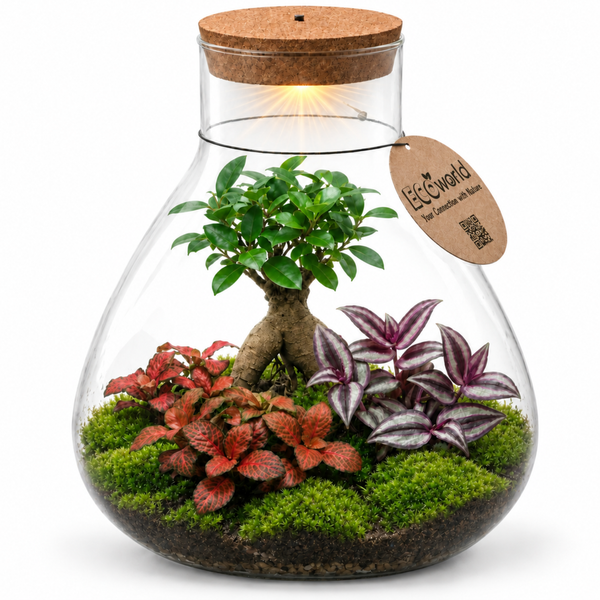 Ökosystem im Glas mit beleuchtetem Korkdeckel, verschiedenen Pflanzen, Moos und Ecoworld Logo Anhänger.