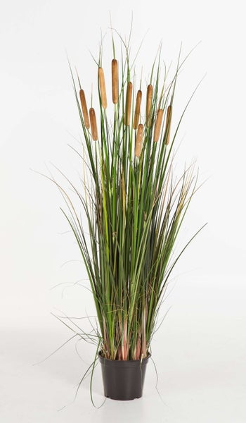 Künstliche Graspflanze in einem schwarzen Kunststofftopf mit hohen, schlanken Grashalmen.