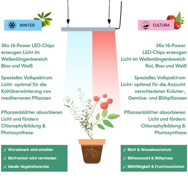 GrowLight Quattro - Parus by Venso LED Pflanzenlampe 60W, Anzuchtlampe LED Pflanzenlampe Vollspektrum, Überwinterung Venso Ecosolutions Pflanzen Licht, Pflanzenlampe Anzucht, Pflanzenlicht LED